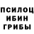 Галлюциногенные грибы ЛСД zaka rum