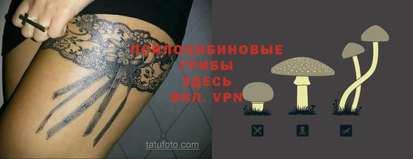 твердый Верея